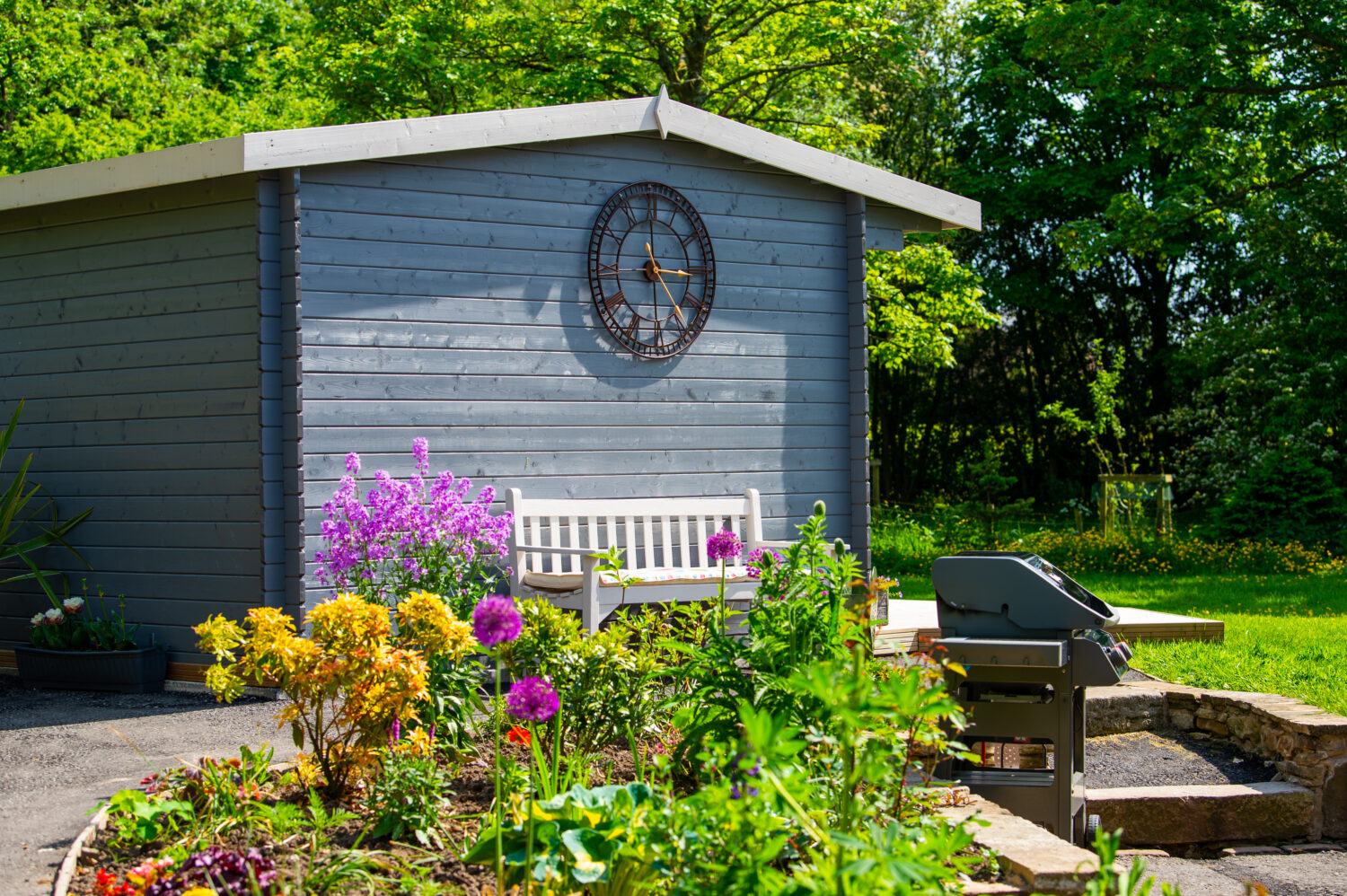 Beautiful Surroundings