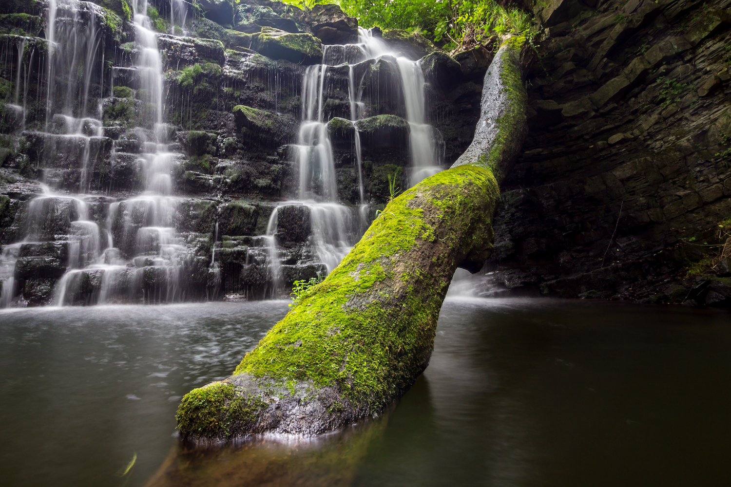 Forest of Bowland